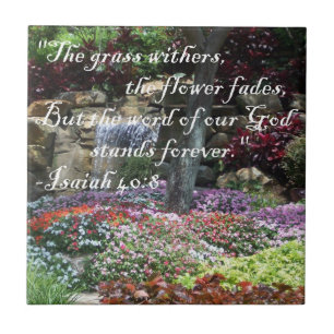 Azulejo Los soportes tejan para siempre