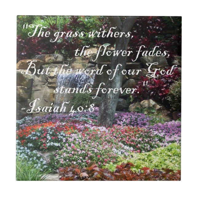 Azulejo Los soportes tejan para siempre (Frente)