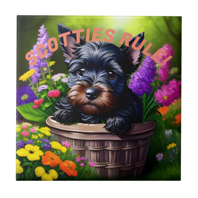 Azulejo ¡Los Territorios Escoceses gobiernan! (Frente)