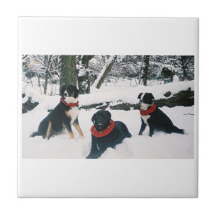 Azulejo ¡Los Tres Mosqueteros!