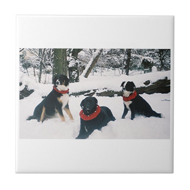 Azulejo ¡Los Tres Mosqueteros! (Frente)