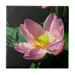 Azulejo Lotus Blossom