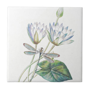 Azulejo Lotus y libélula