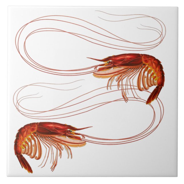 Azulejo Louisiana Shrimp (Frente)