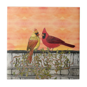 Azulejo Lovebirds Ceramic Kitchen Tile