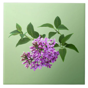 Azulejo Lovely Lilacs
