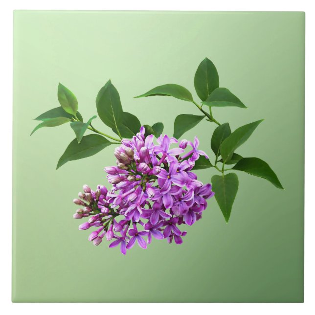 Azulejo Lovely Lilacs (Frente)