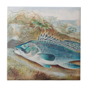 Azulejo Lubina por S.A. Kilbourne, Pez Vintage