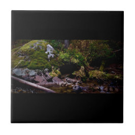 Azulejo Lugar secreto