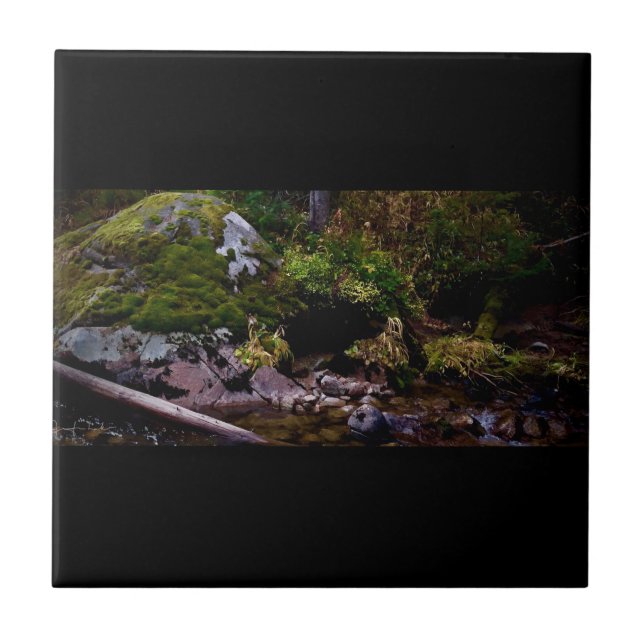 Azulejo Lugar secreto (Frente)