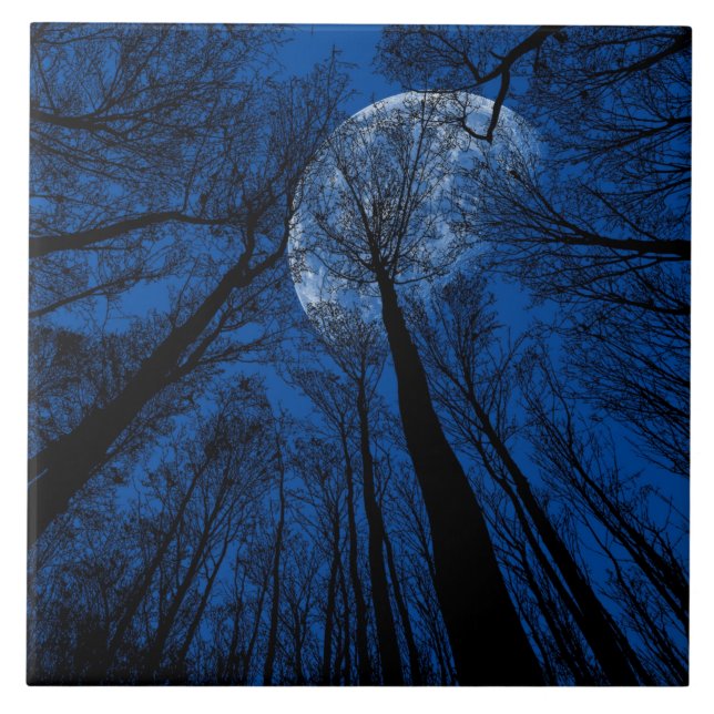 Azulejo Luna en el cielo nocturno (Frente)