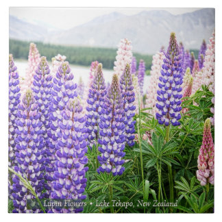 Azulejo Lupinos bonitos en el lago Tekapo Nueva Zelanda