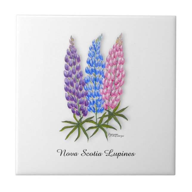 Azulejo Lupinos de Nueva Escocia (Frente)