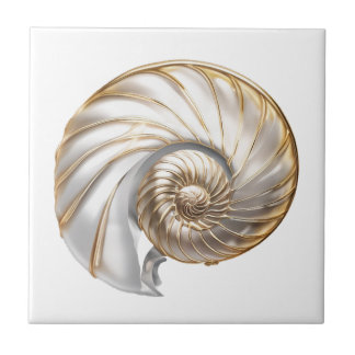 Azulejo Lustre de perla de caracol nautilus 3D playa mar