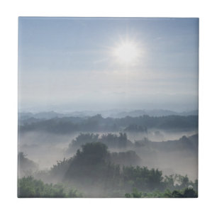 Azulejo Luz del sol brillante en los árboles de bambú el