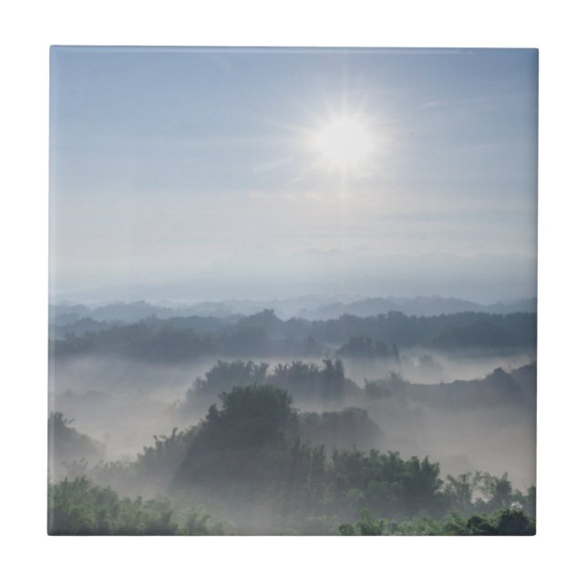Azulejo Luz del sol brillante en los árboles de bambú el | (Frente)