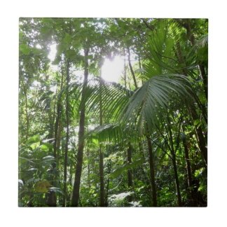 Azulejo Luz solar a través de la selva tropical con cubier
