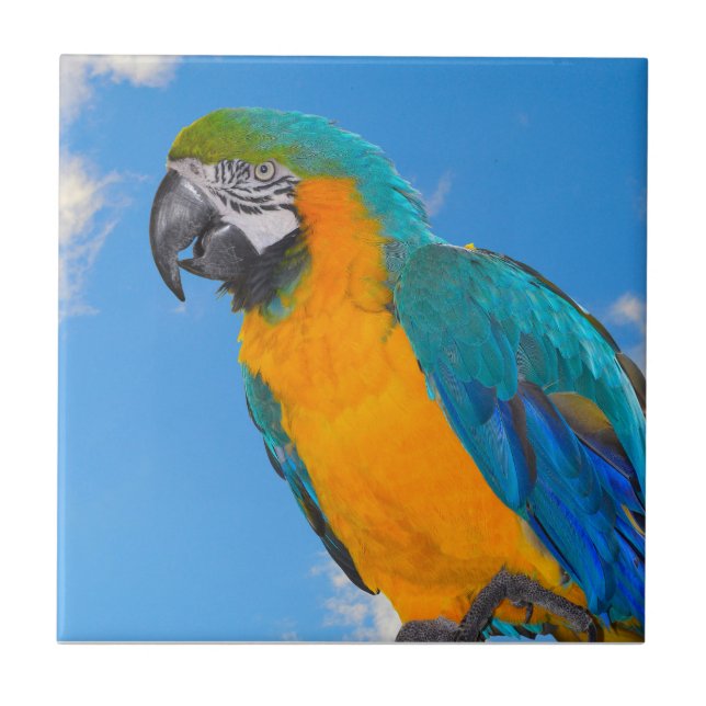 Azulejo Macao azul y amarillo (Frente)