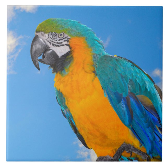 Azulejo Macao azul y amarillo (Frente)