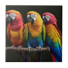 Azulejo Macaw