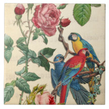 Macaws Y Rosas Vintage