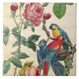 Azulejo Macaws Y Rosas Vintage
