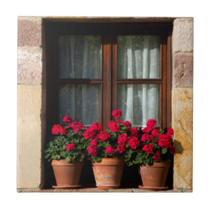 Azulejo Macetas de flores en la ventana en el pueblo