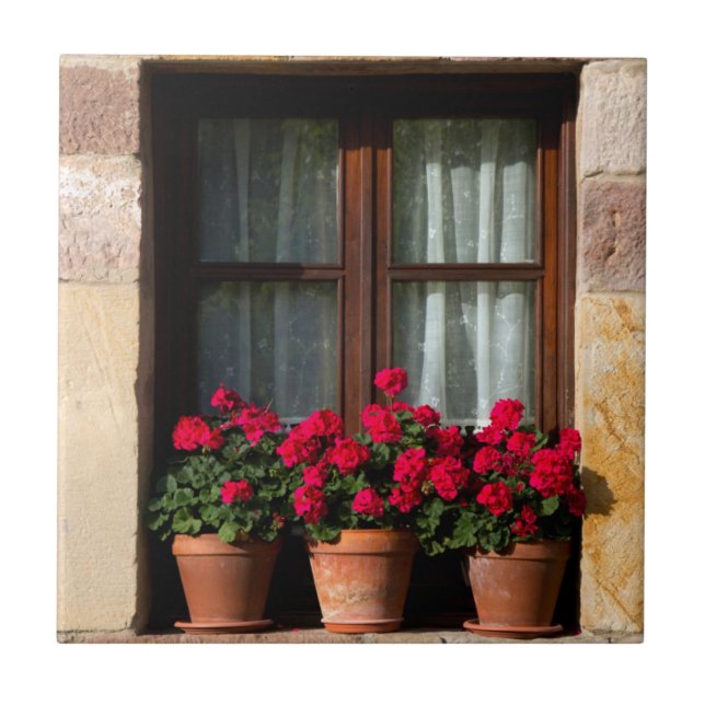 Azulejo Macetas de flores en la ventana en el pueblo (Frente)