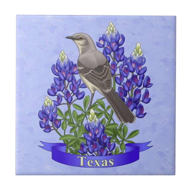 Azulejo Mackingbird del estado de Texas y Flor de Bluebonn (Frente)