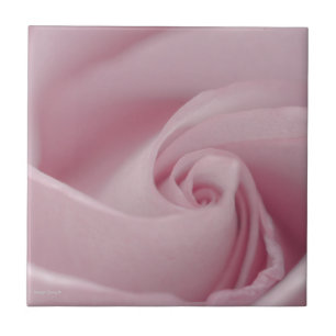 Azulejo Macro de rosa rosa