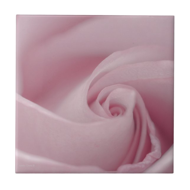 Azulejo Macro de rosa rosa (Frente)