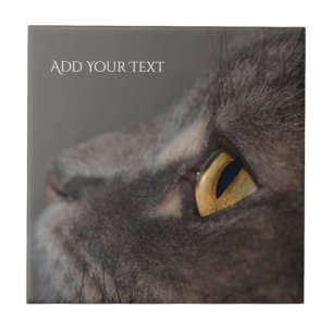 Azulejo Macro-ojo de gato por Shirley Taylor