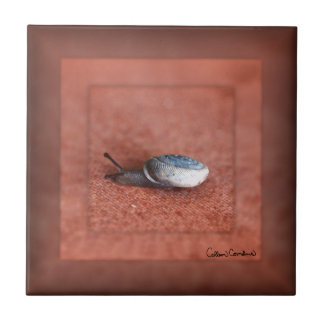 Azulejo Macro Photograph of Snail on Terracotta
