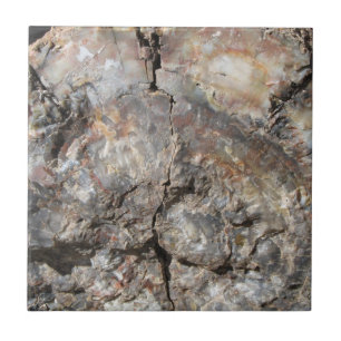 Azulejo Madera aterrorizada, delantera