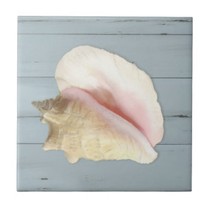 Azulejo Madera de conchas costeras Blue Beach Conch Seashe