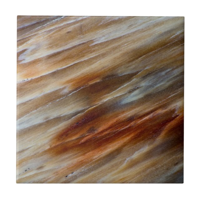 Azulejo Madera Petrificada Desigual (Frente)