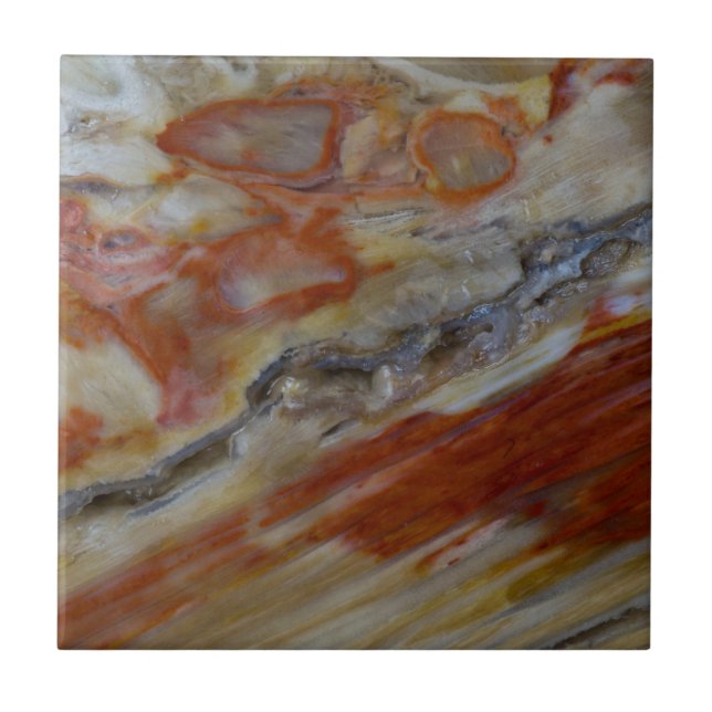 Azulejo Madera Petrificada Estriada (Frente)