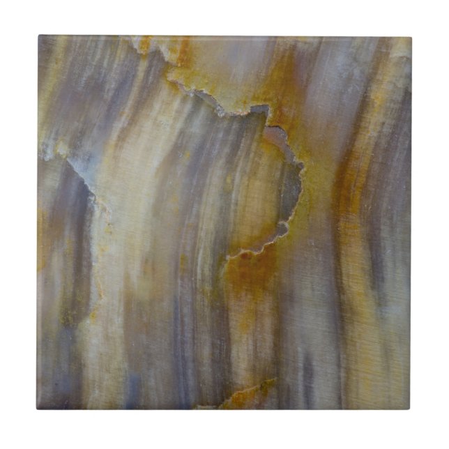 Azulejo Madera Petrificada Ondulada (Frente)