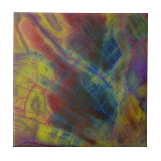 Azulejo Madera Petrificada Vertical (Frente)