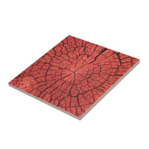 Azulejo Madera rojiza rosada corte transversal tronco de á