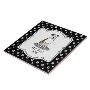 Azulejo Madre del pitajo (lt romano le blanco 3)