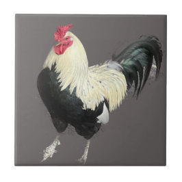 Azulejo Magnífico Cockerel no 1