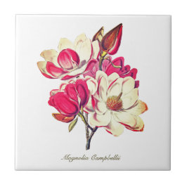 Azulejo Magnolia Botánica Vintage Flor blanca rosa