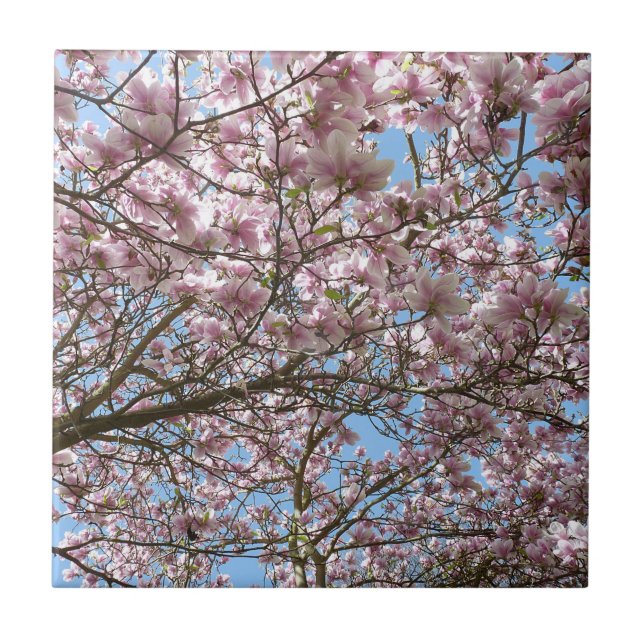 Azulejo Magnolia en abril (Frente)