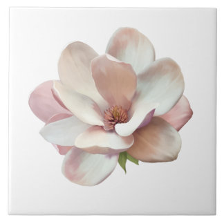 Azulejo Magnolia sureña rosa