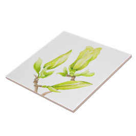 Azulejo Magnolias amarillas en una tela cerámica (2W)