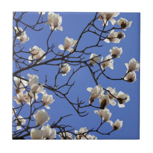 Azulejo Magnolias florecientes