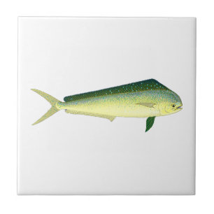 Azulejo Mahi Mahi