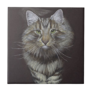 Azulejo Maine Coon Cat