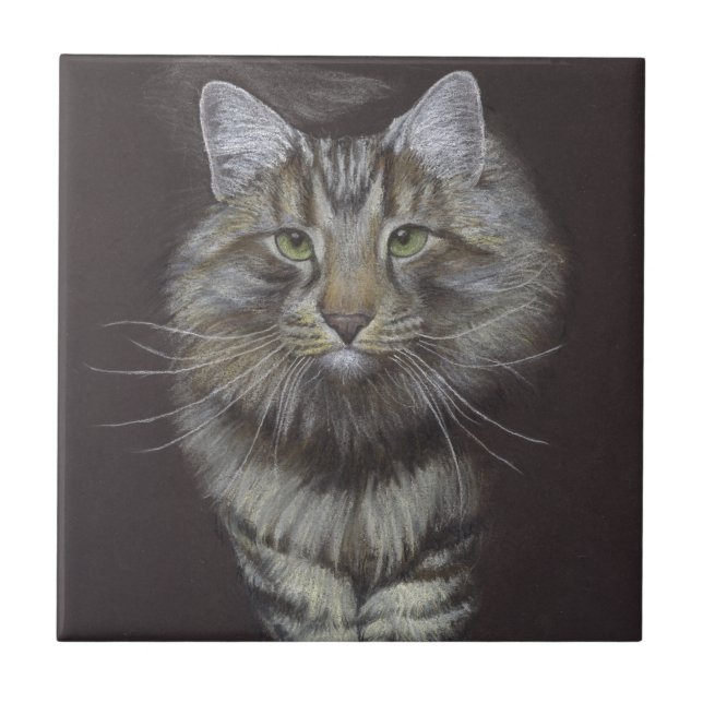 Azulejo Maine Coon Cat (Frente)